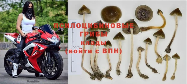 таблы Алексеевка