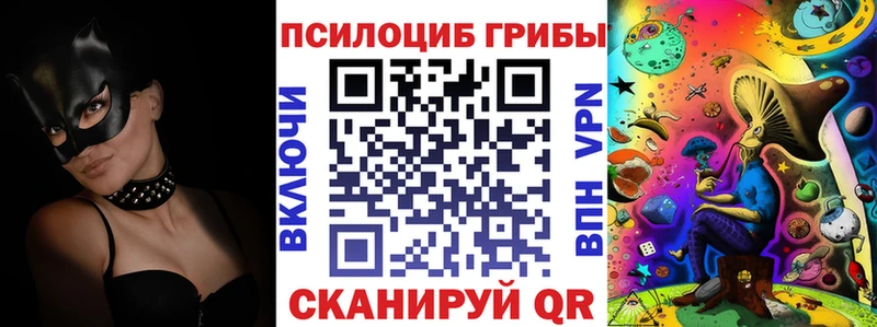 Псилоцибиновые грибы Cubensis  дарнет шоп  Добрянка 