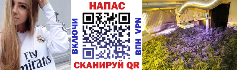 Шишки марихуана Bruce Banner  Добрянка 